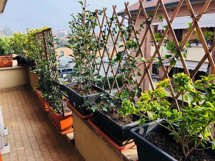 Ketty House B&B - Policlinico Di Monza, U-Power Stadium Ngoại thất bức ảnh